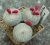 Epithelantha rufispina (Samen)