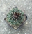 Gymnocactus aquirreanus
