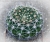 Gymnocalycium bicolor