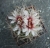 Gymnocalycium cardenasianum Bluete