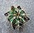 Gymnocalycium griseopallidium