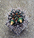 Gymnocalycium horridispinum