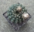Gymnocalycium parvulum