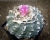 Lophophora fricii