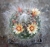 Mammillaria bocasana
