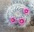 Mammillaria hahniana